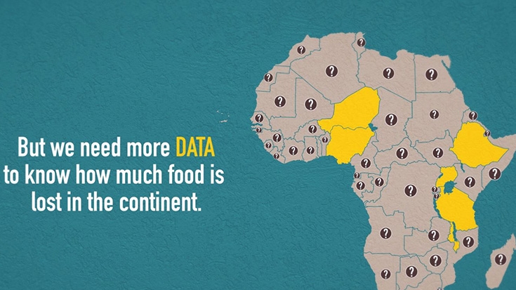 L’agriculture en Afrique: distinguer les faits des mythes